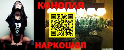 дживик Обь