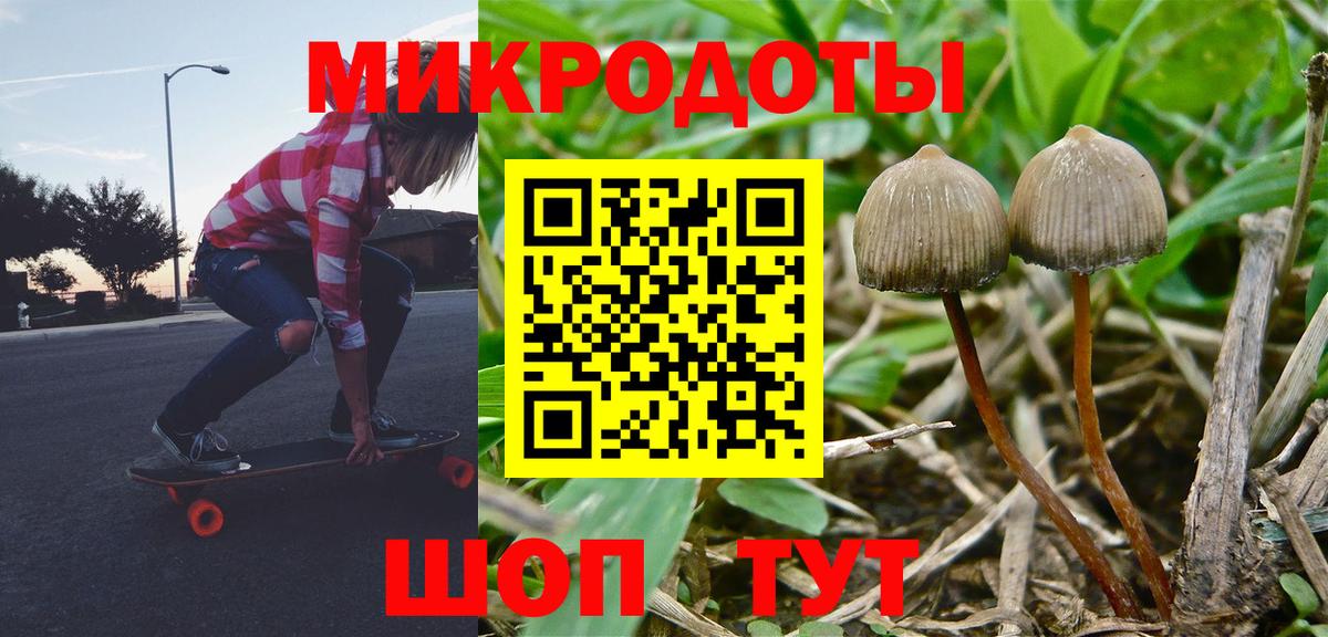 Псилоцибиновые грибы прущие грибы Соликамск